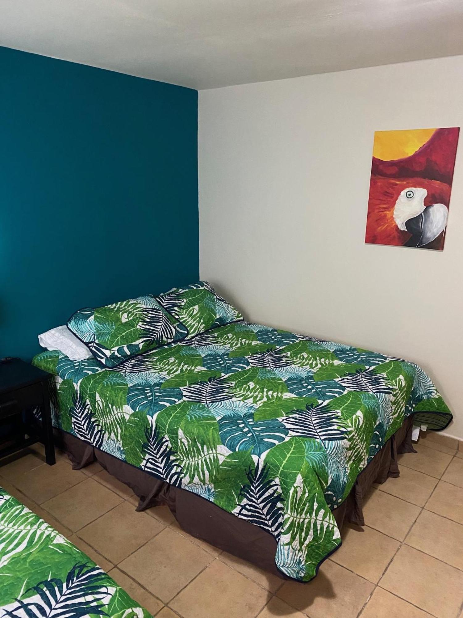 Uverito Sand Dollar B&B ลาส ทาบลาส ภายนอก รูปภาพ